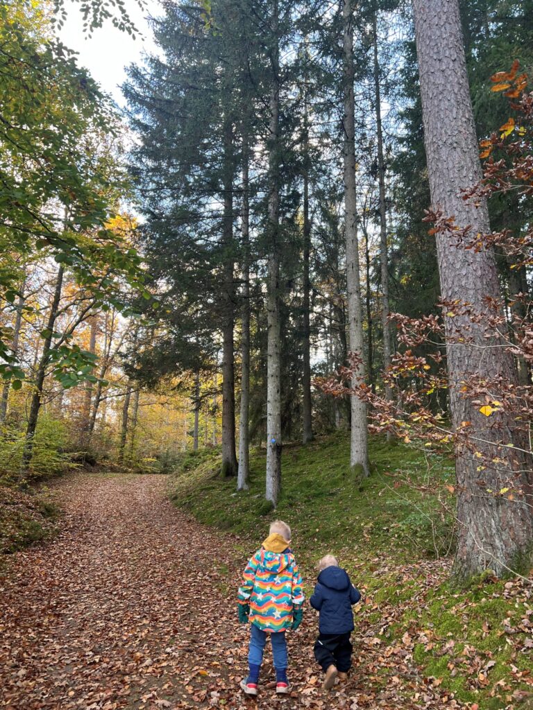 Kids in forest.